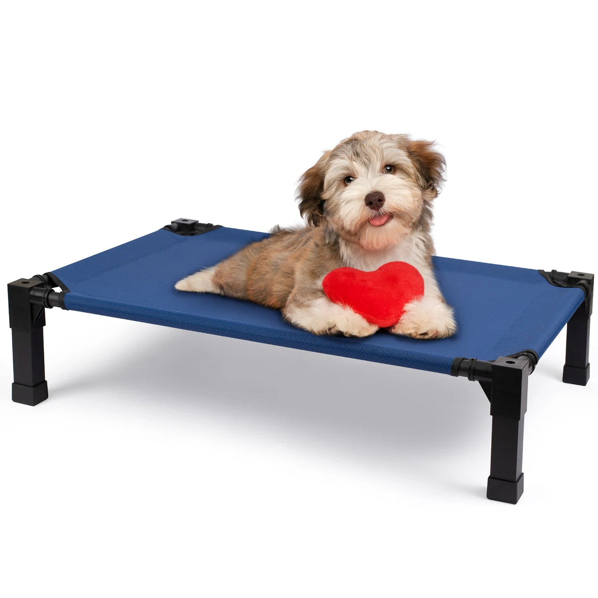 Elevated Cooling Dog Bed With Chew Proof Mesh Metal Frame The Pet & Home Store