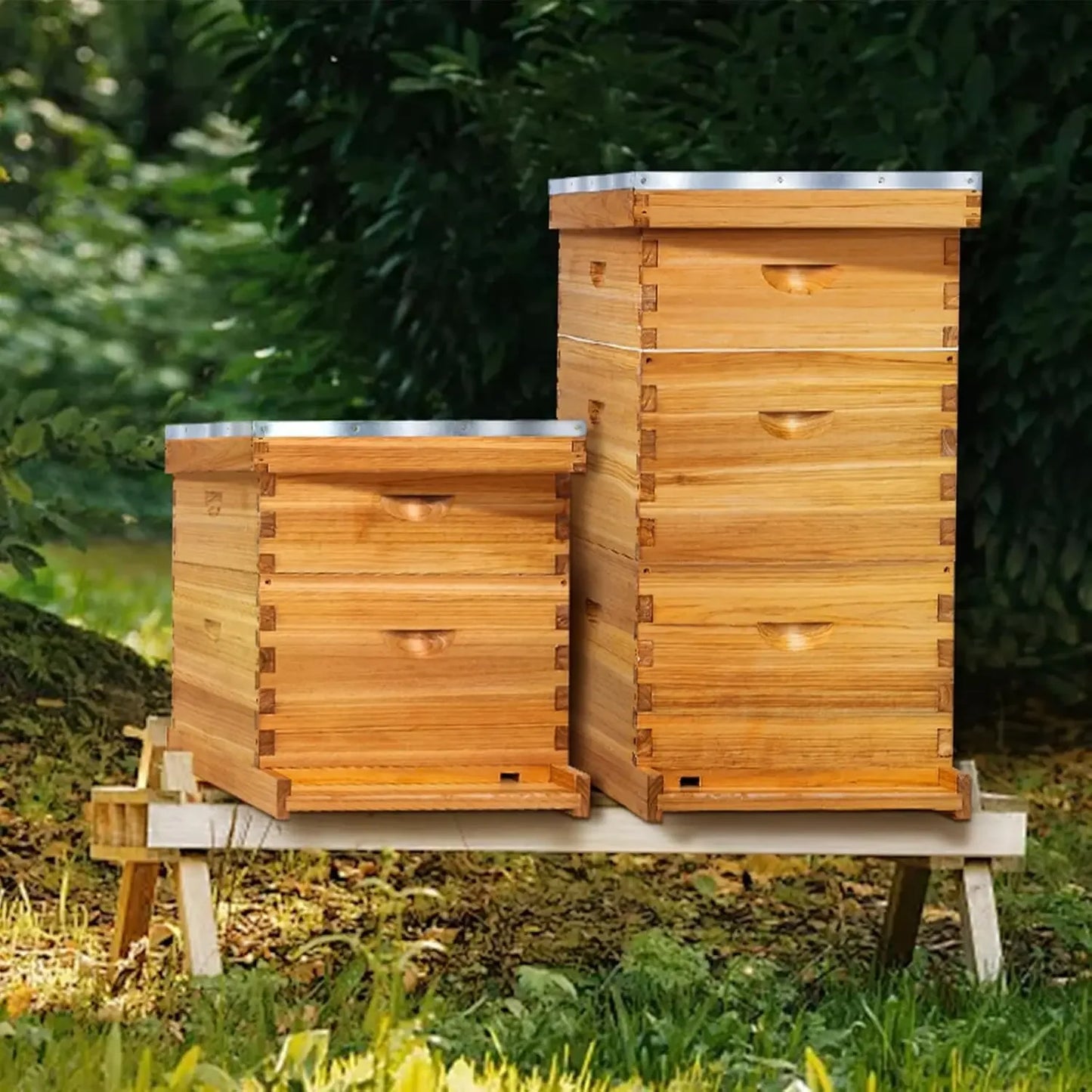 10 Frame Langstroth Beehive Kit With Beeswax Coated Frames