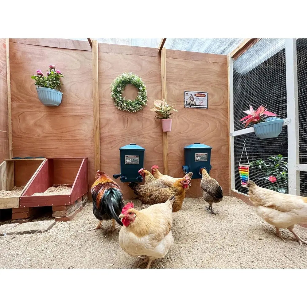 Automatic Port and Cup Chicken Waterer Set for Coop