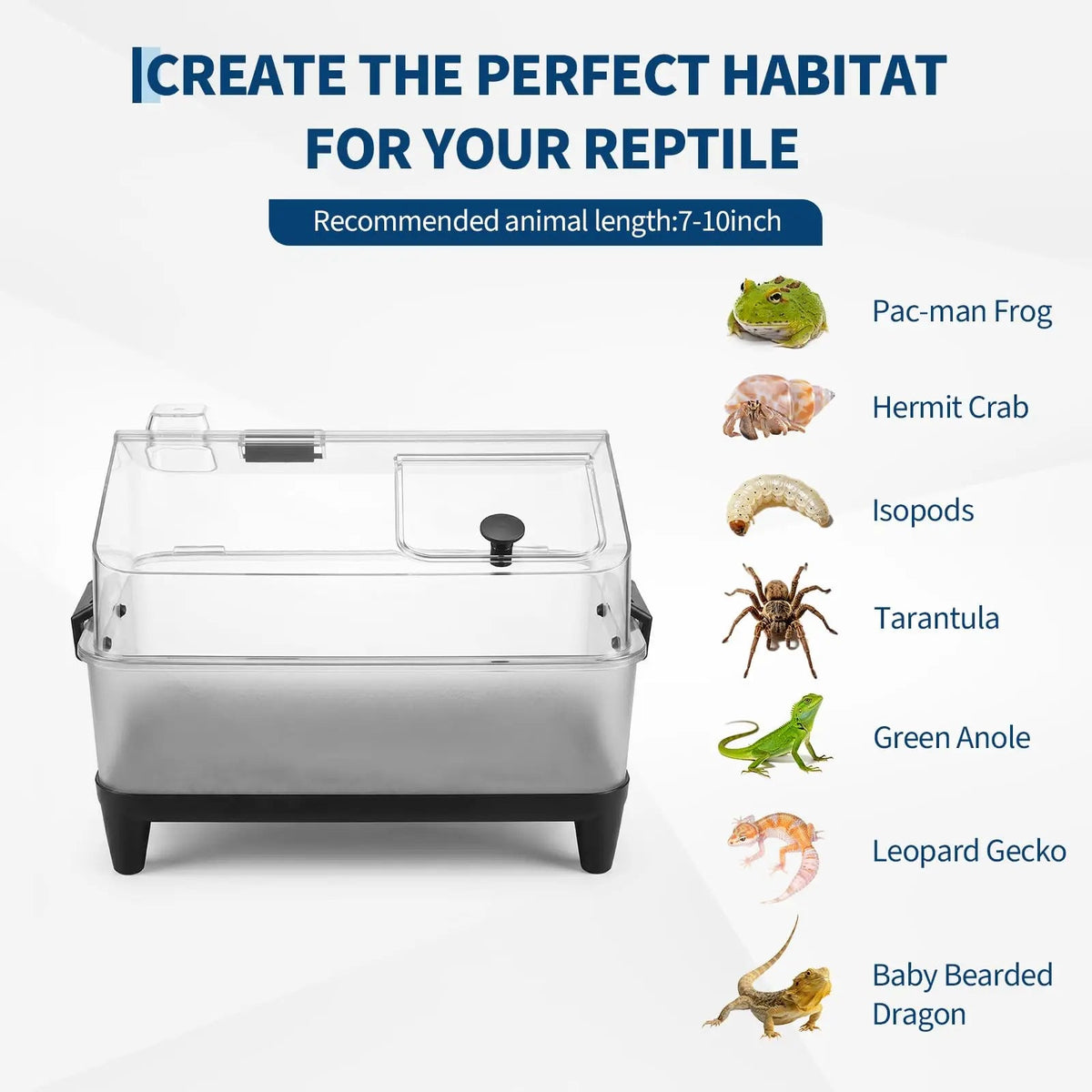 Small Reptile Terrarium Kit With Lid, Acrylic Tank, Heating Pad, Hygrometer, Hide & Bowl For Gecko Lizard Tarantula Frog Crab The Pet & Home Store