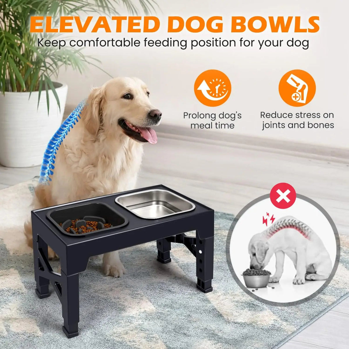 Elevated Slow Feeder Dog Bowls With Foldable Stand Non Slip The Pet & Home Store