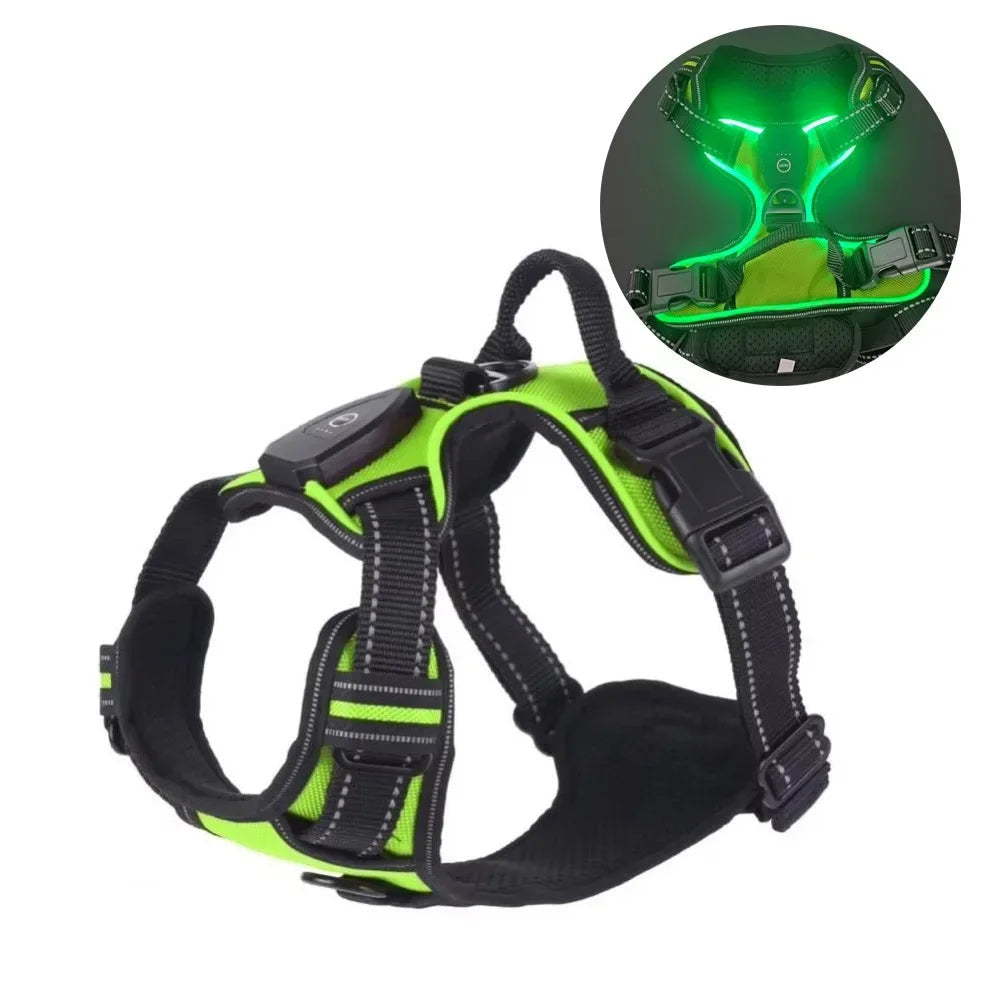 PERNEAKY Light Up LED Dog Harness For Night Walking The Pet & Home Store