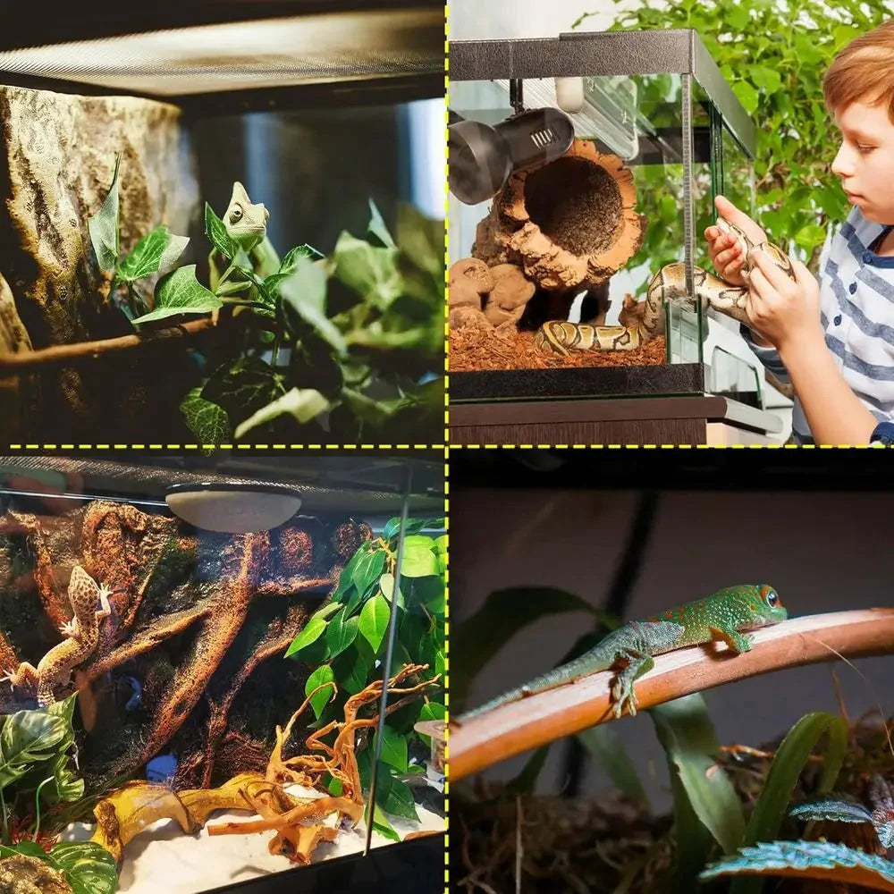Glass Terrarium Tank With Dual Swing Doors For Reptile Habitats The Pet & Home Store