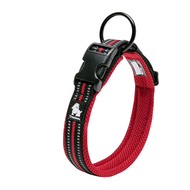 Dog Walking Collar Comfort Padded The Pet & Home Store