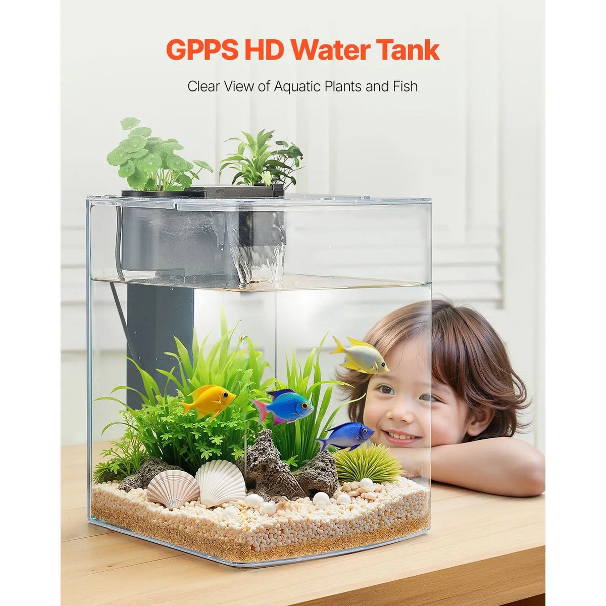 Ultra Clear Arch Fish Tank Aquarium With Reliable Circulation The Pet & Home Store