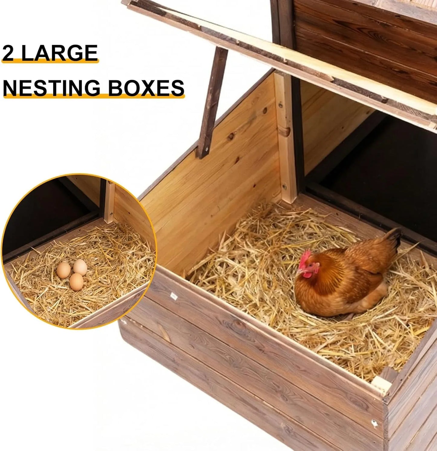 Chicken Coop With Two Nesting Boxes For Outdoor Hen House