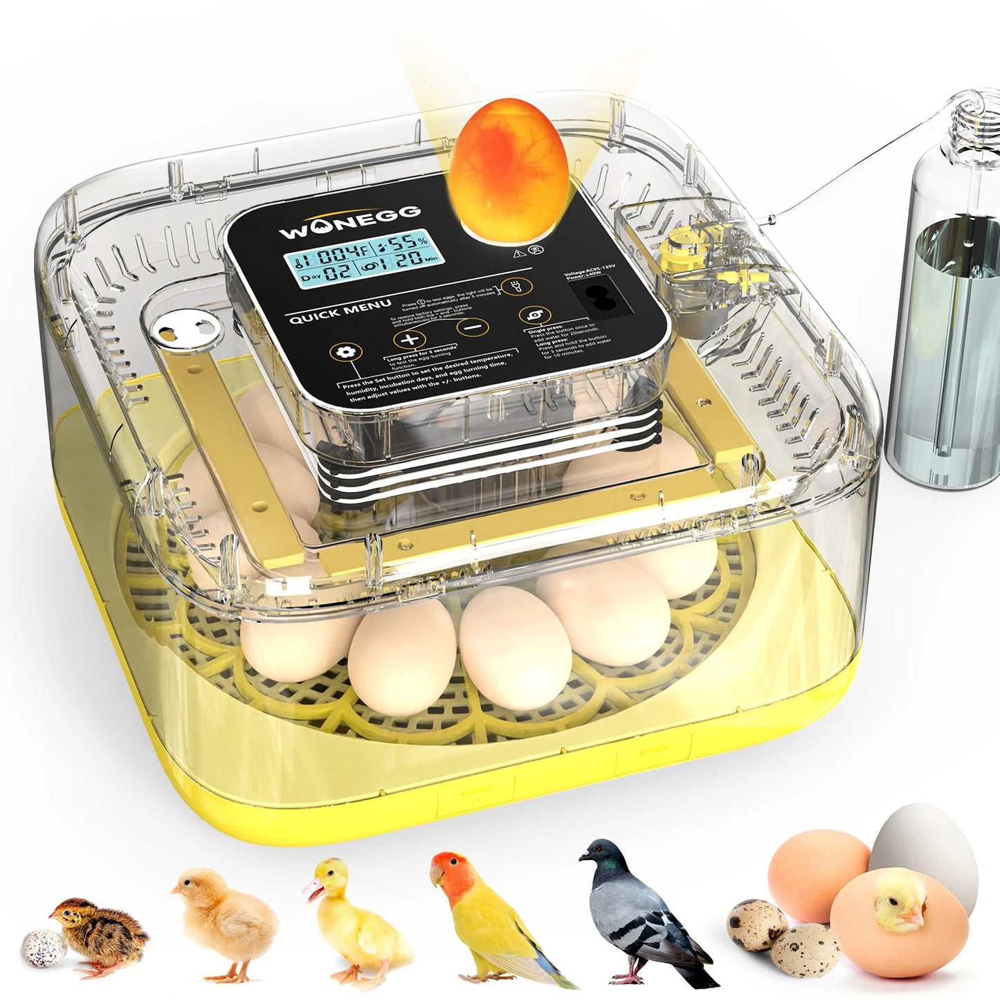 12-24 Egg Incubator With Auto Turn Temp Humidity Control