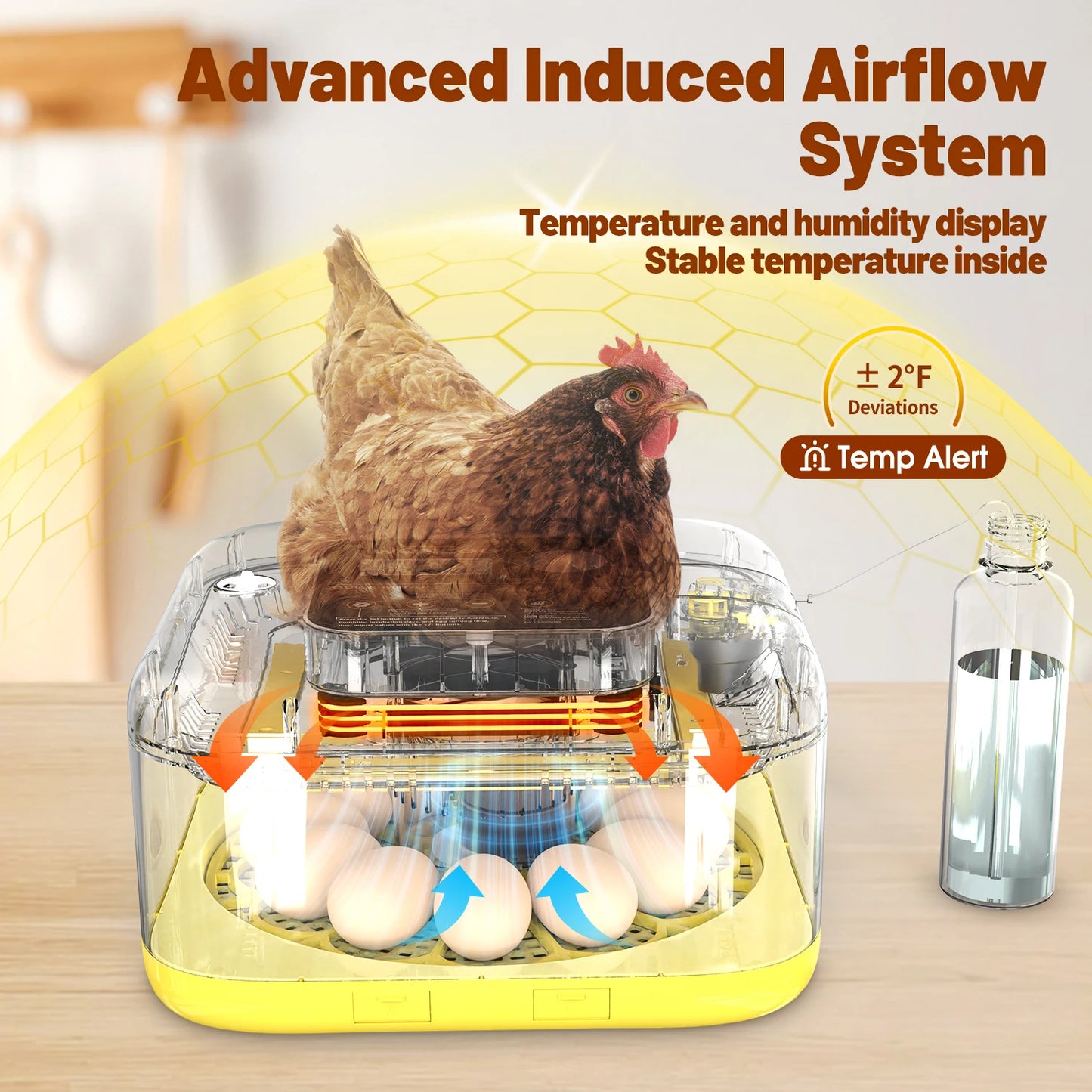 12-24 Egg Incubator With Auto Turn Temp Humidity Control