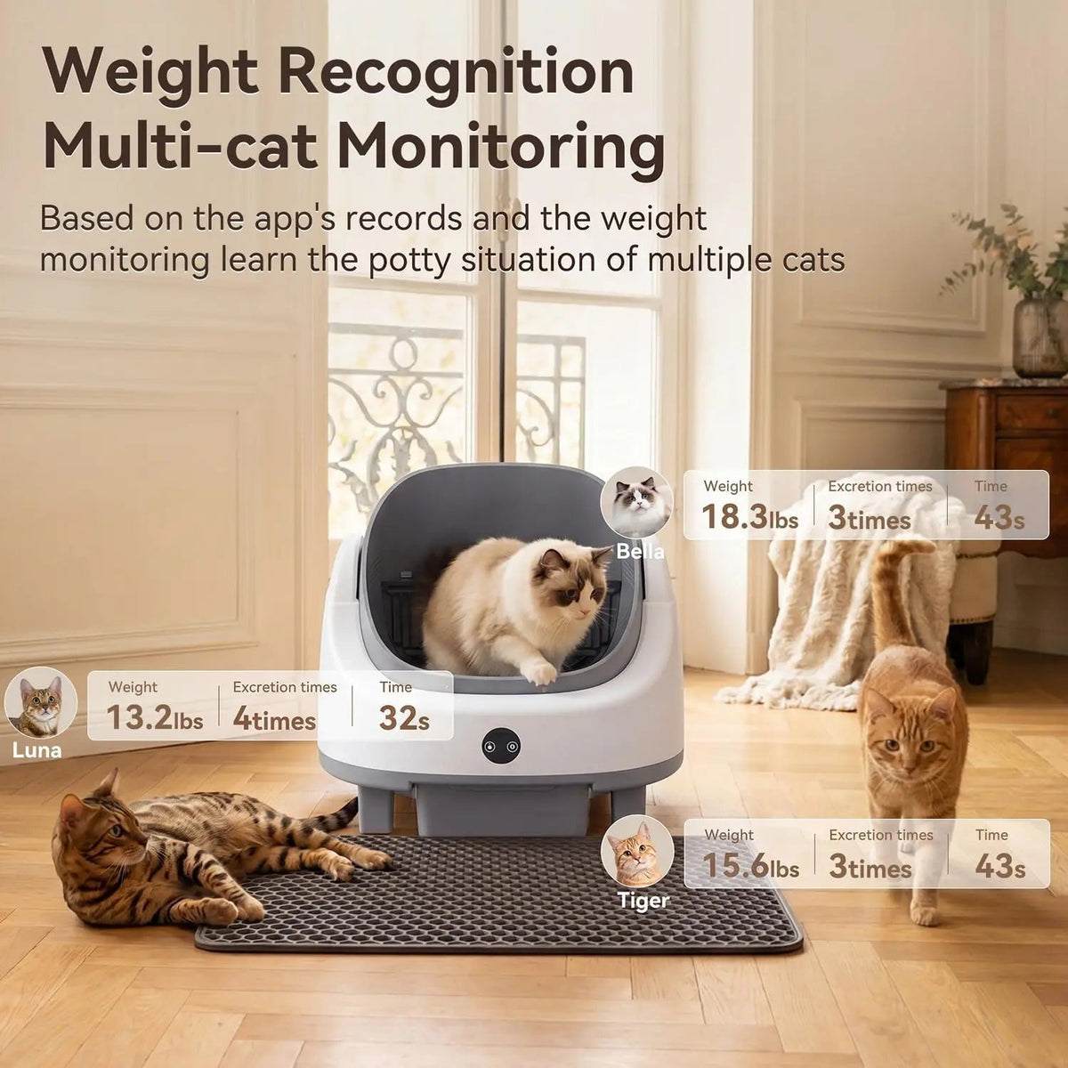 Automatic Self-Cleaning Litter Box Box Grey The Pet & Home Store