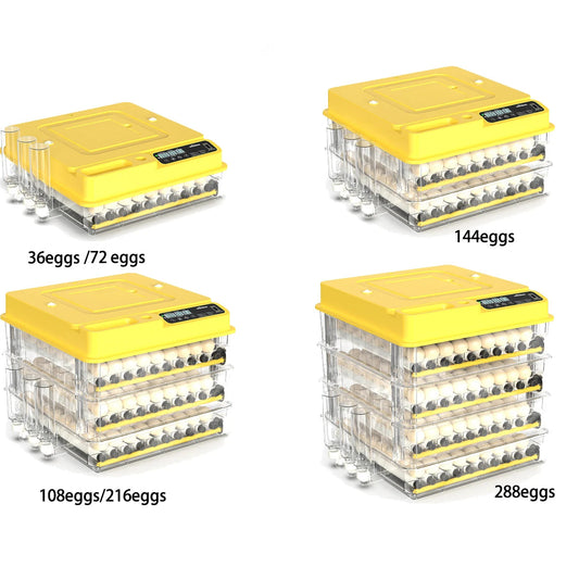 Egg Incubator for Hatching Eggs The Pet & Home Store