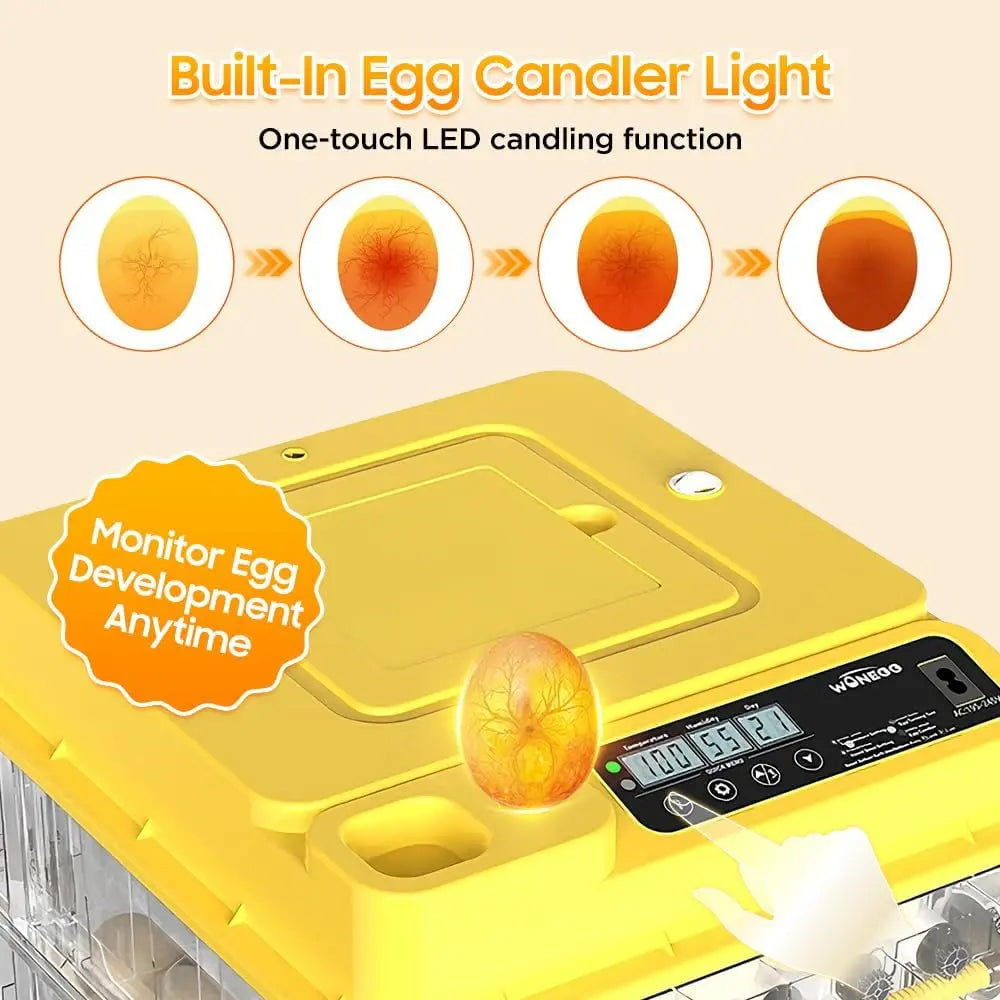 Egg Incubator for Hatching Eggs The Pet & Home Store