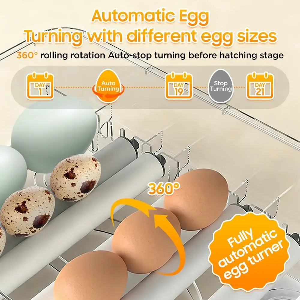 Egg Incubator for Hatching Eggs The Pet & Home Store
