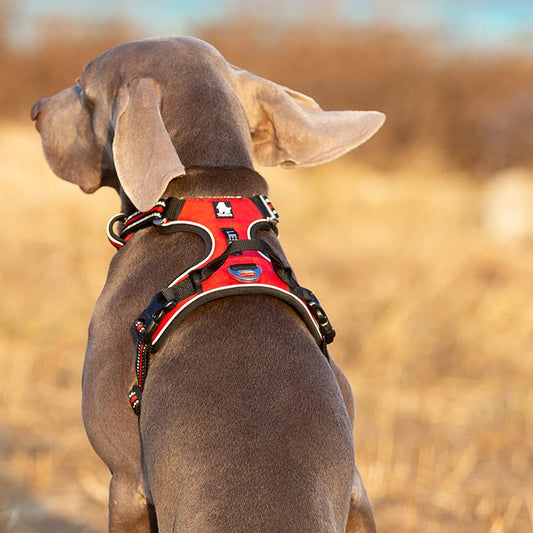 TRUELOVE Reflective No Pull Nylon Dog Harness Adjustable for Walking