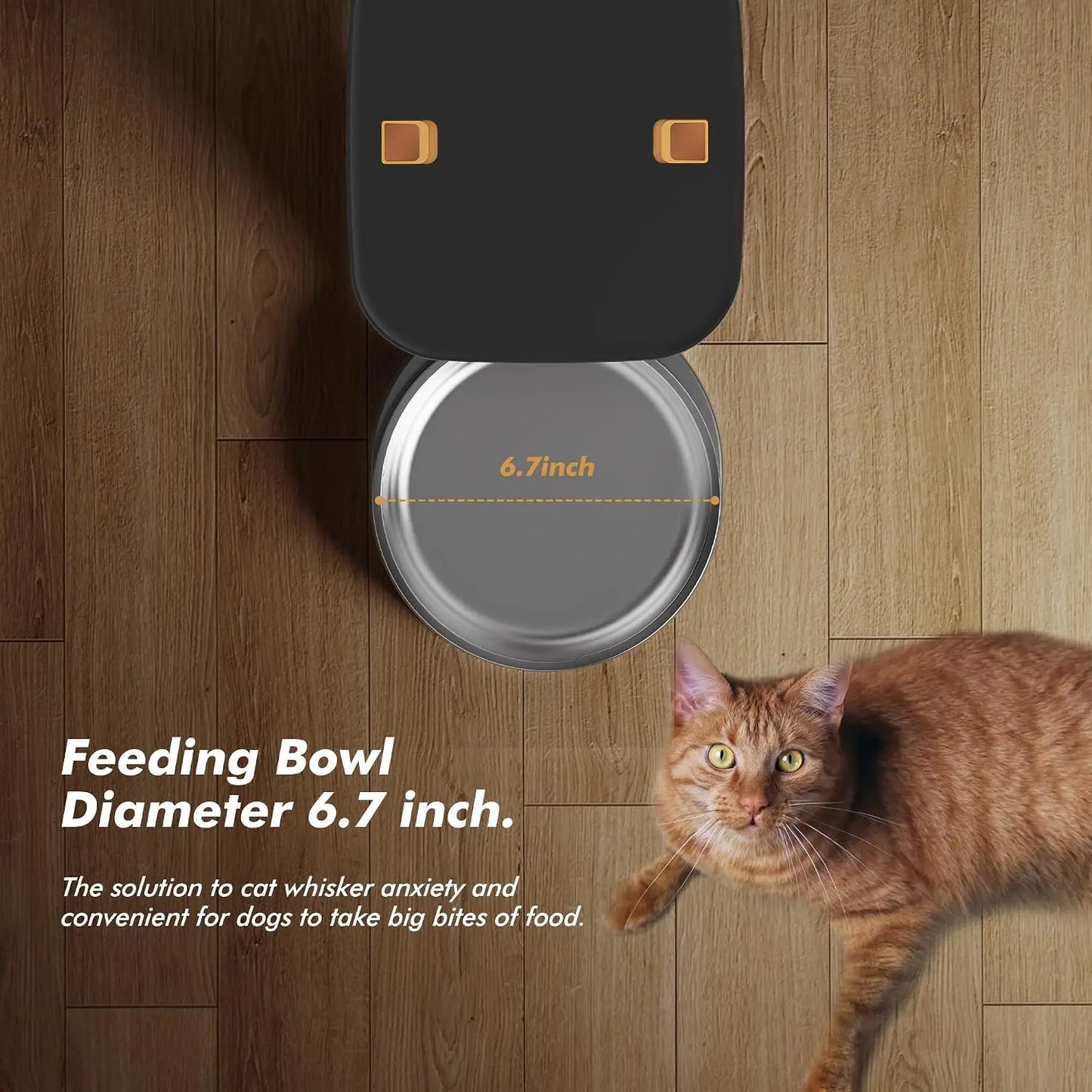 Automatic Dog Feeder 8L/34 Cups with LCD Screen, Timed Cat Feeder, Up to 50 Portions 6 Meals Per Day