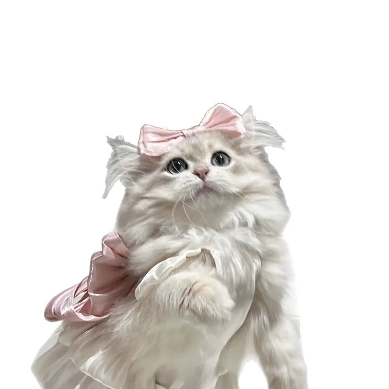Adorable Cat Dress For Spring Summer Pet Fashion Glimmer Skirt