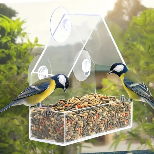 Durable Acrylic Window Mount Bird Feeder For Backyard Birds The Pet & Home Store