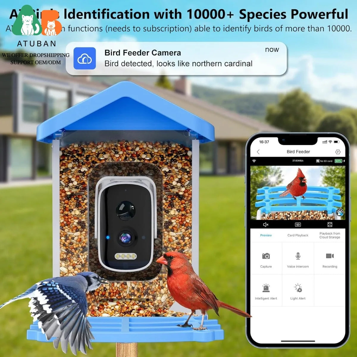 ATUBAN Smart Bird Feeder With Camera And AI Bird Identification