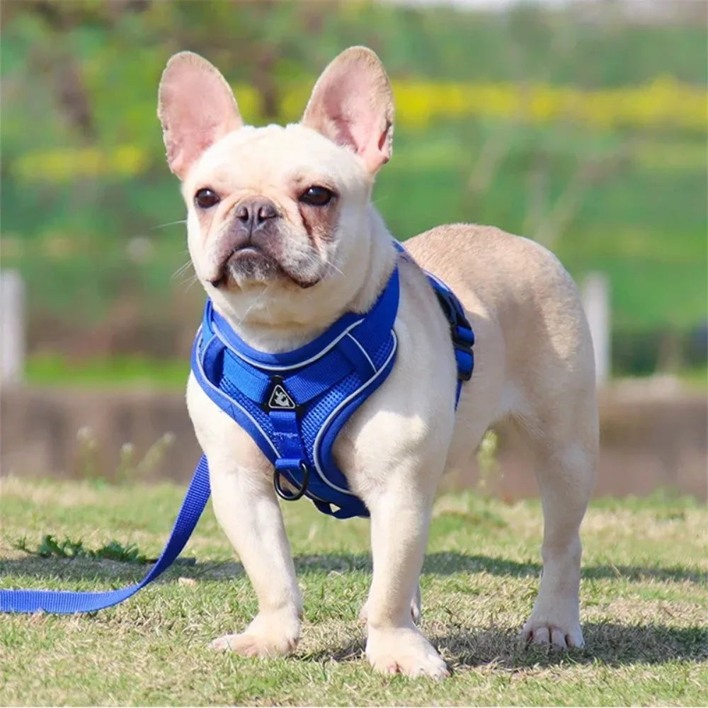 No Pull Dog Harness And Leash Set Reflective Adjustable Vest