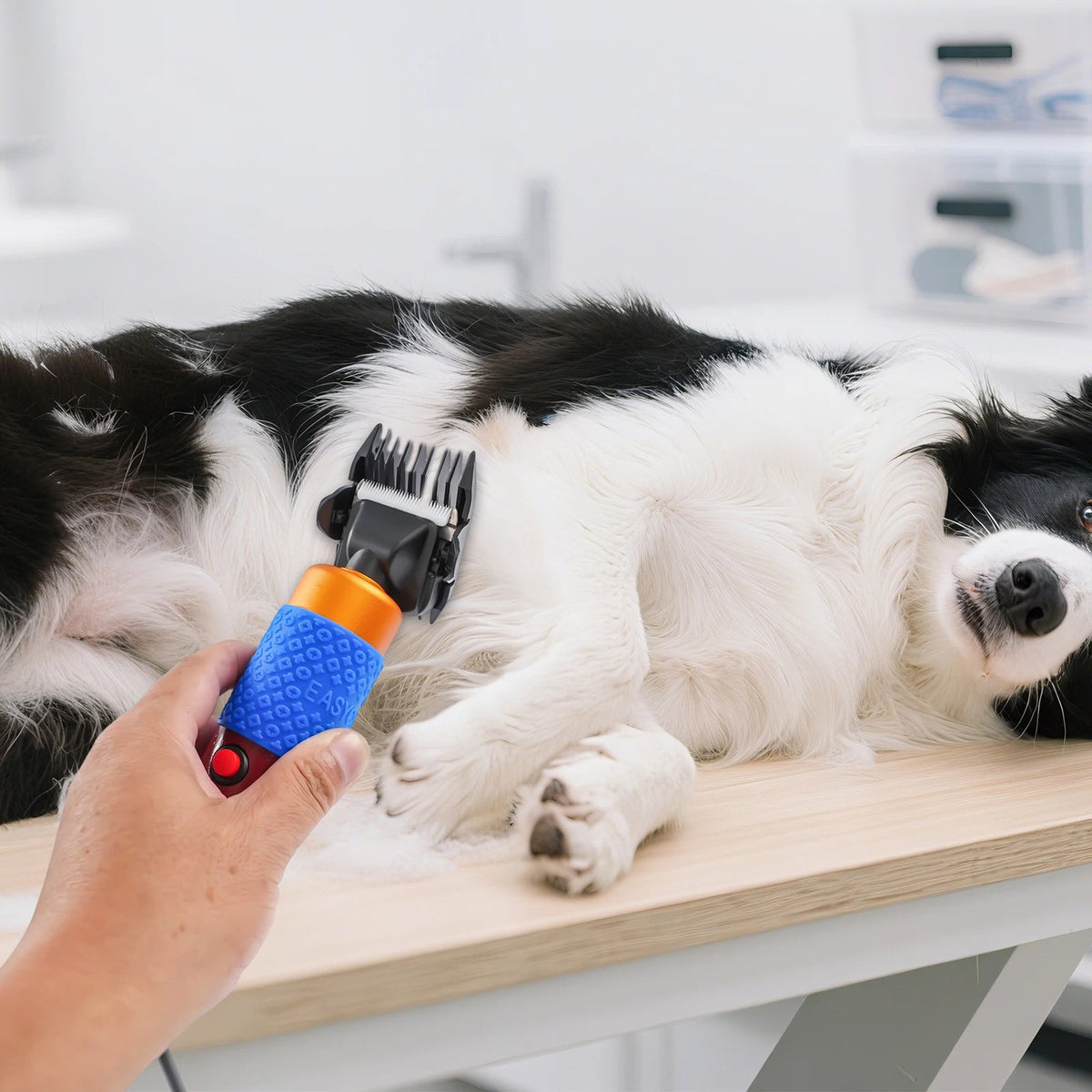 36W Electric Animal Grooming Shaver The Pet & Home Store