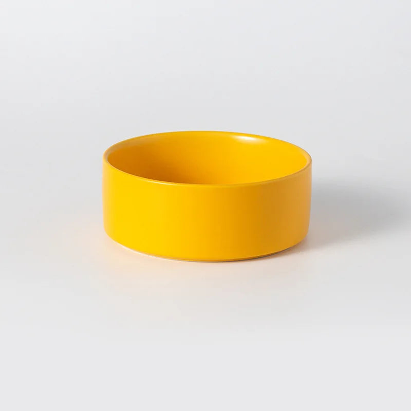 Elevated Double Pet Bowl Feeder For Cats And Dogs Ceramic