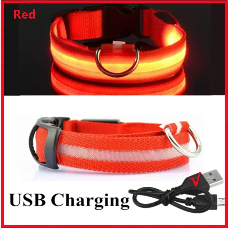 COOYOMOO 3 Mode LED USB Dog Collar With Night Glow