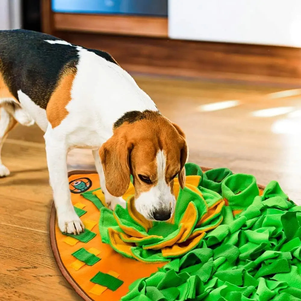 Snule Mat for Dogs, Dog Cats Nosework Feeding Mat, Pet Interactive Dog Puzzle Toys Encourages Natural Foraging Skills or Trainin The Pet & Home Store