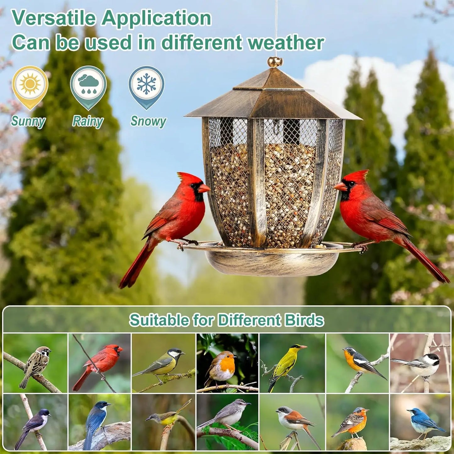 Hexagon Lantern Bird Feeder for Outside, Heavy Duty Metal Wild Bird Feeder Hanging for Garden Yard with 360° Feeding Port