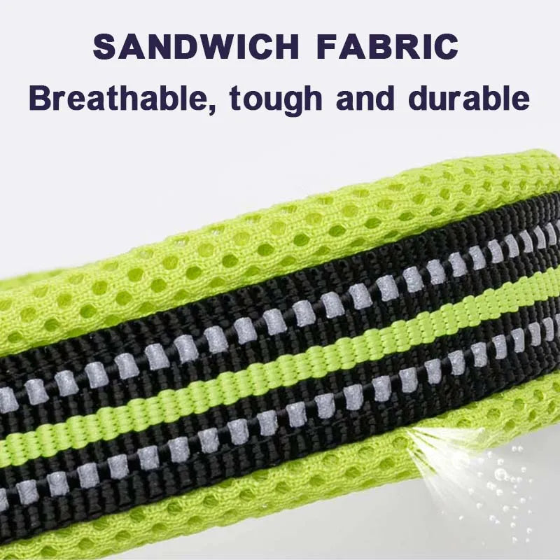 Dog Walking Collar Comfort Padded The Pet & Home Store