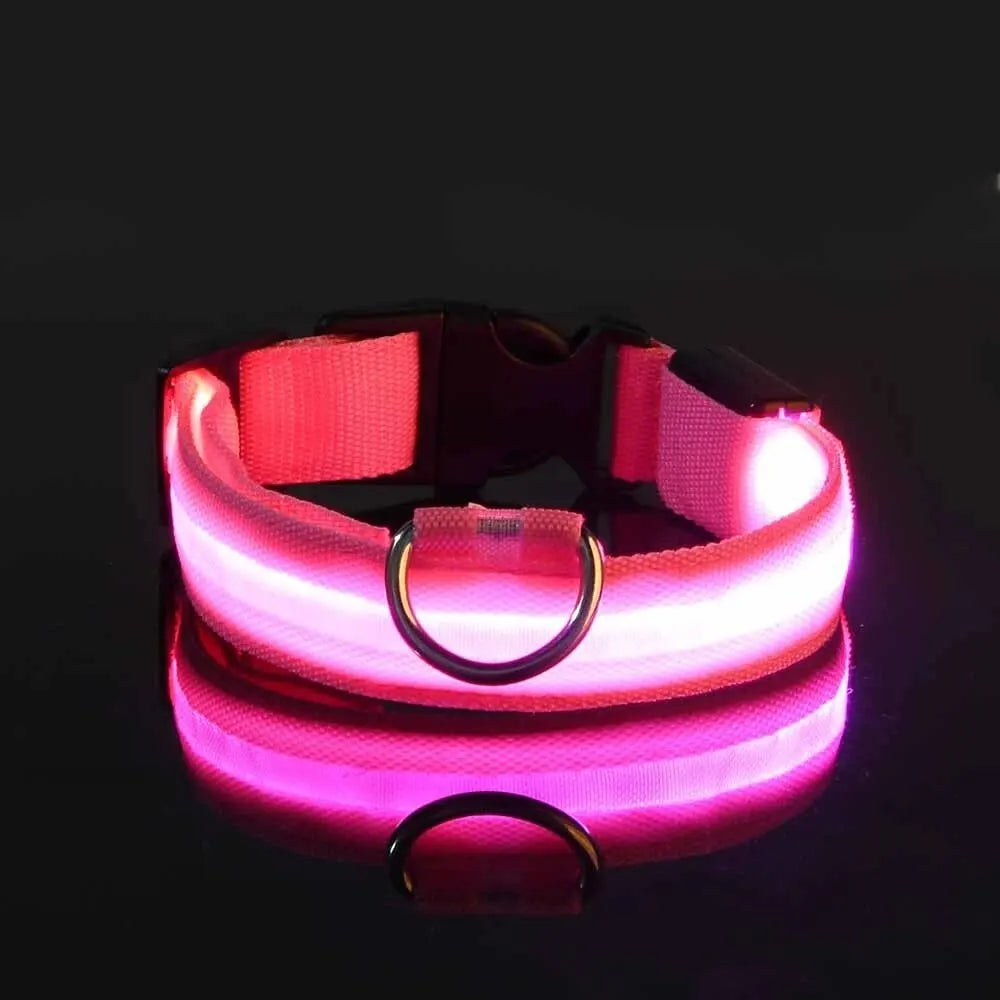 Nylon LED Night Safety Leash And Glow Collar For Pets