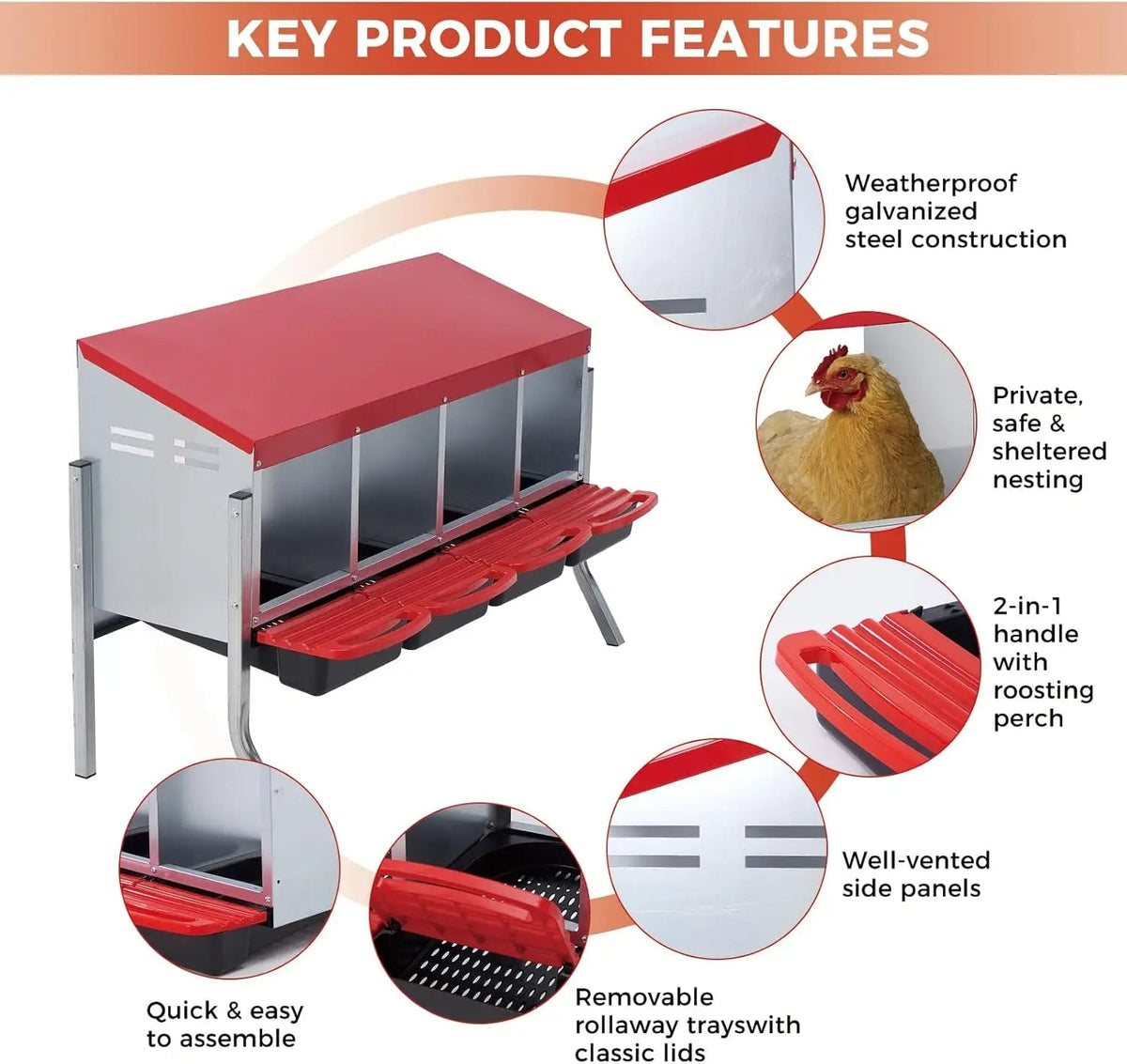 Multi-Compartment Metal Chicken Nesting Box The Pet & Home Store