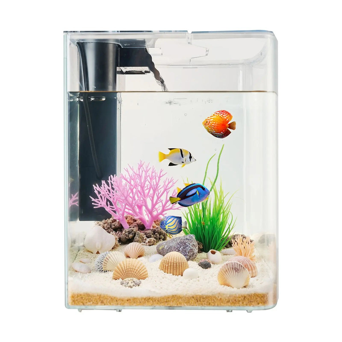 Ultra Clear Arch Fish Tank Aquarium With Reliable Circulation The Pet & Home Store