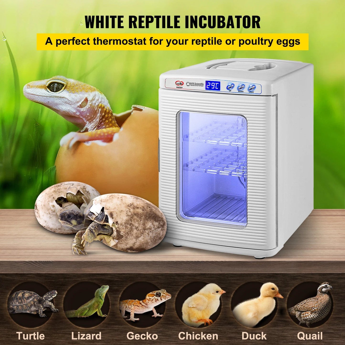 SucceBuy 25L Reptile Incubator Scientific Lab Automatic Incubator Egg Breeding Hatchery Work for Thermostats Snakes and Turtles The Pet & Home Store