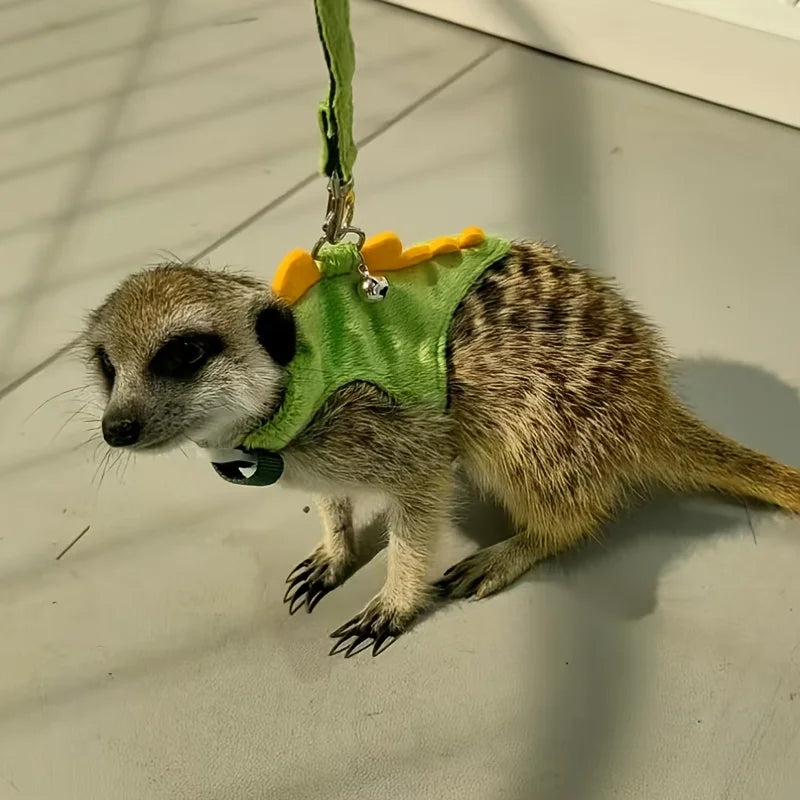 Ferret Harness And Leash Set Dinosaur Vest With Bell