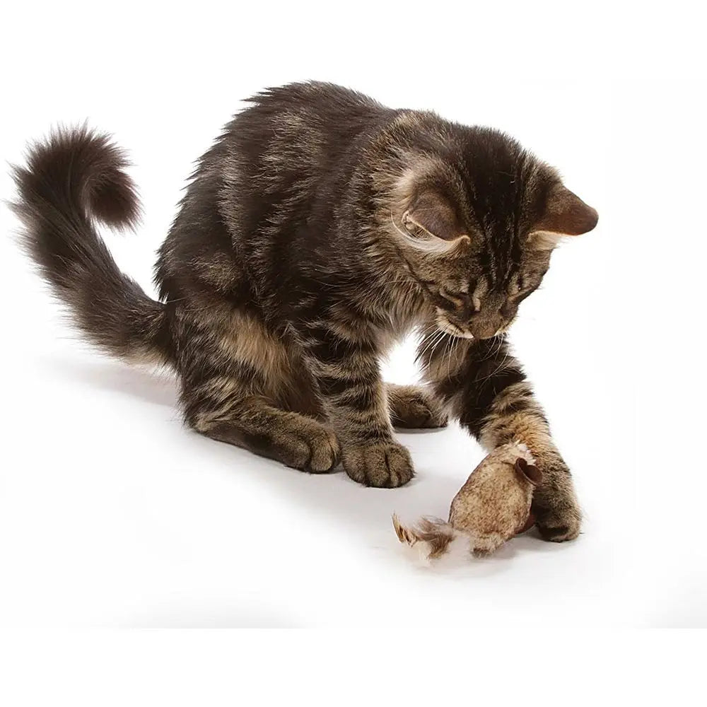 Play-N-Squeak Twice The Mice Cat Toy 2-Pack Interactive Catnip Sound