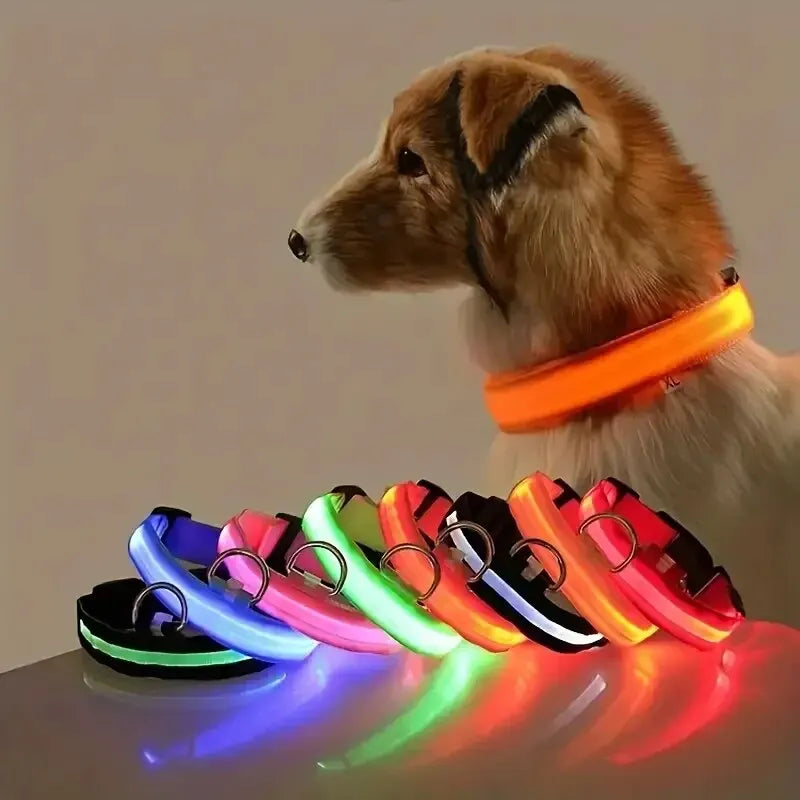 Nylon LED Night Safety Leash And Glow Collar For Pets