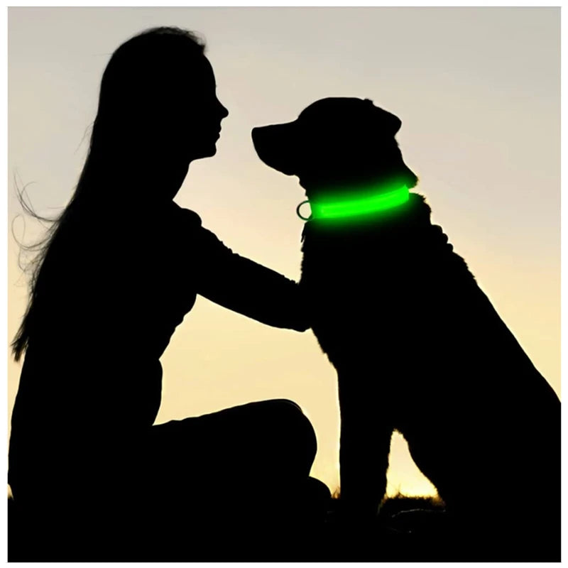 COOYOMOO 3 Mode LED USB Dog Collar With Night Glow