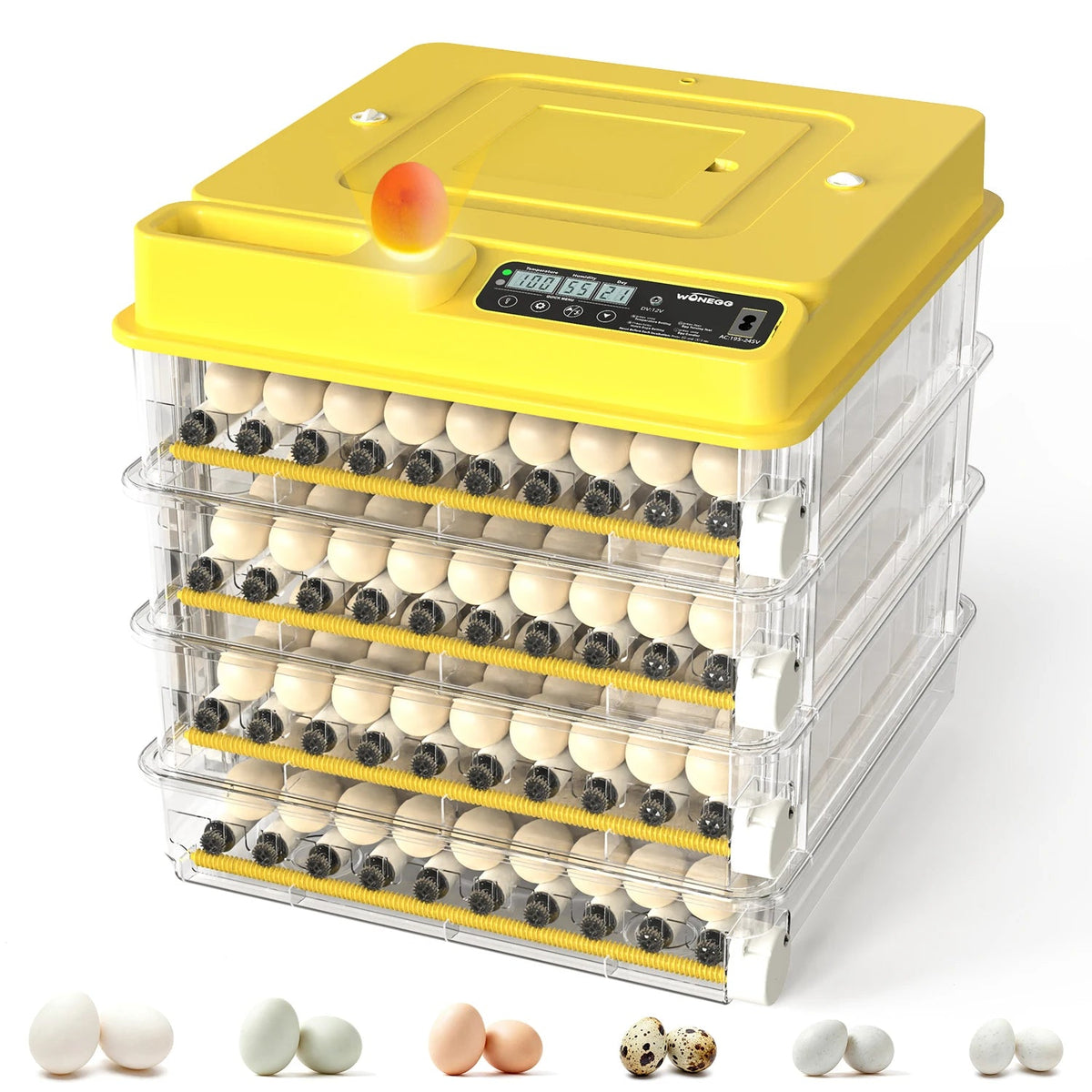 Automatic Egg Incubator With Temperature Control For Poultry Hatching The Pet & Home Store