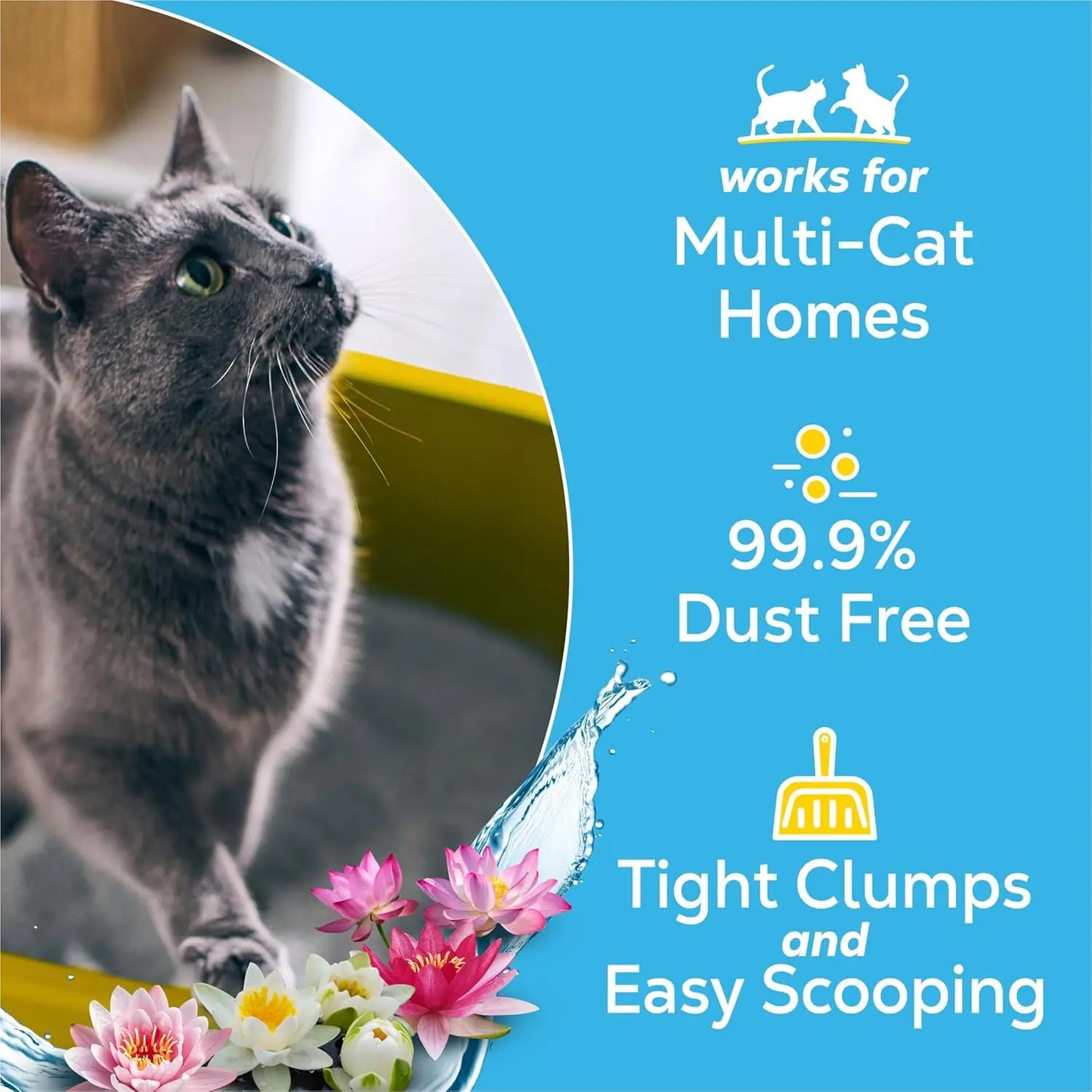 Clumping Cat Litter For Multiple Cats Clear Springs Scented Odor Control