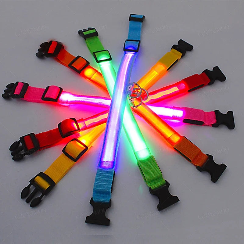 COOYOMOO 3 Mode LED USB Dog Collar With Night Glow