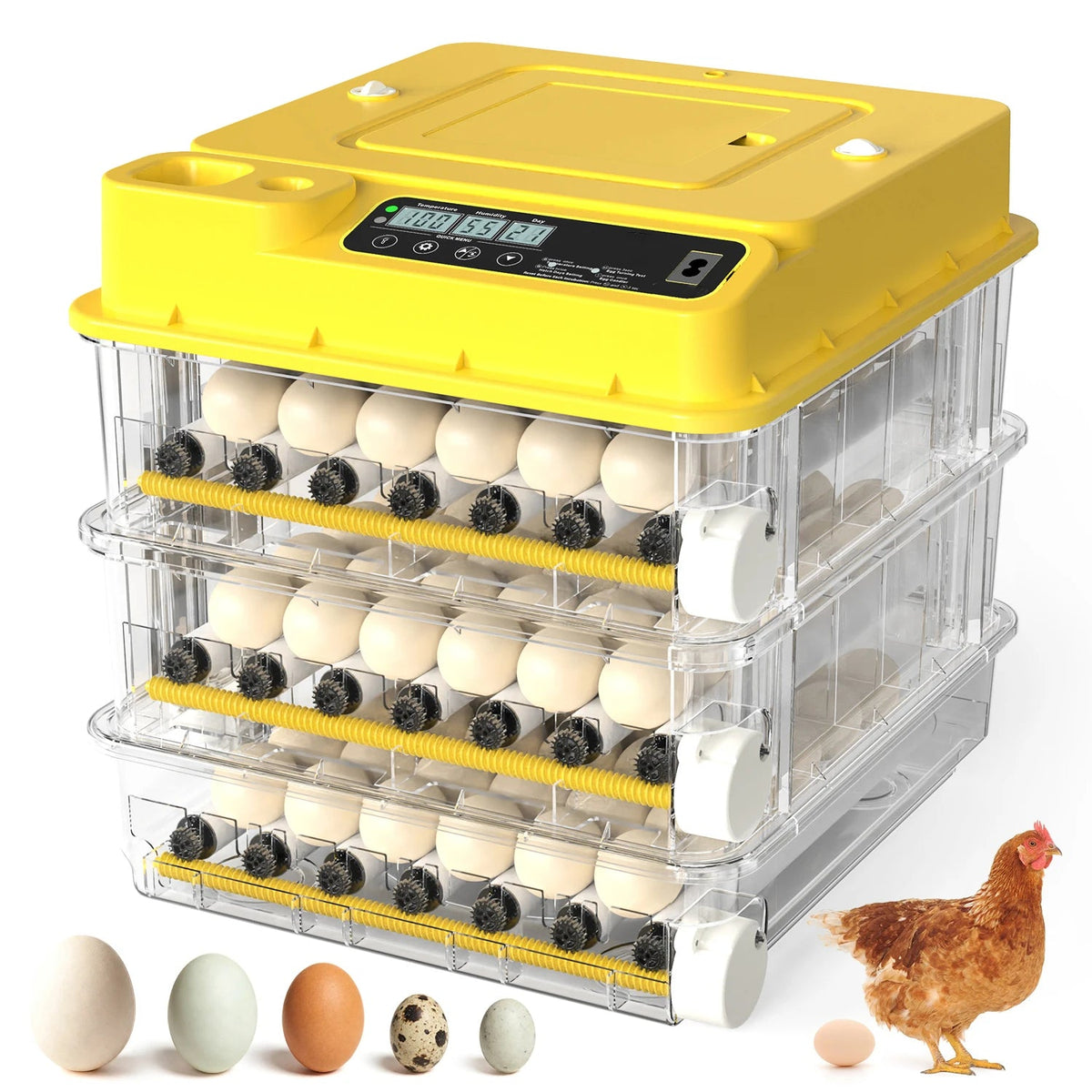 Automatic Egg Incubator With Temperature Control For Poultry Hatching The Pet & Home Store