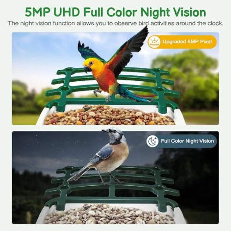 SHXI Smart Bird Feeder With Camera And AI Species Identification