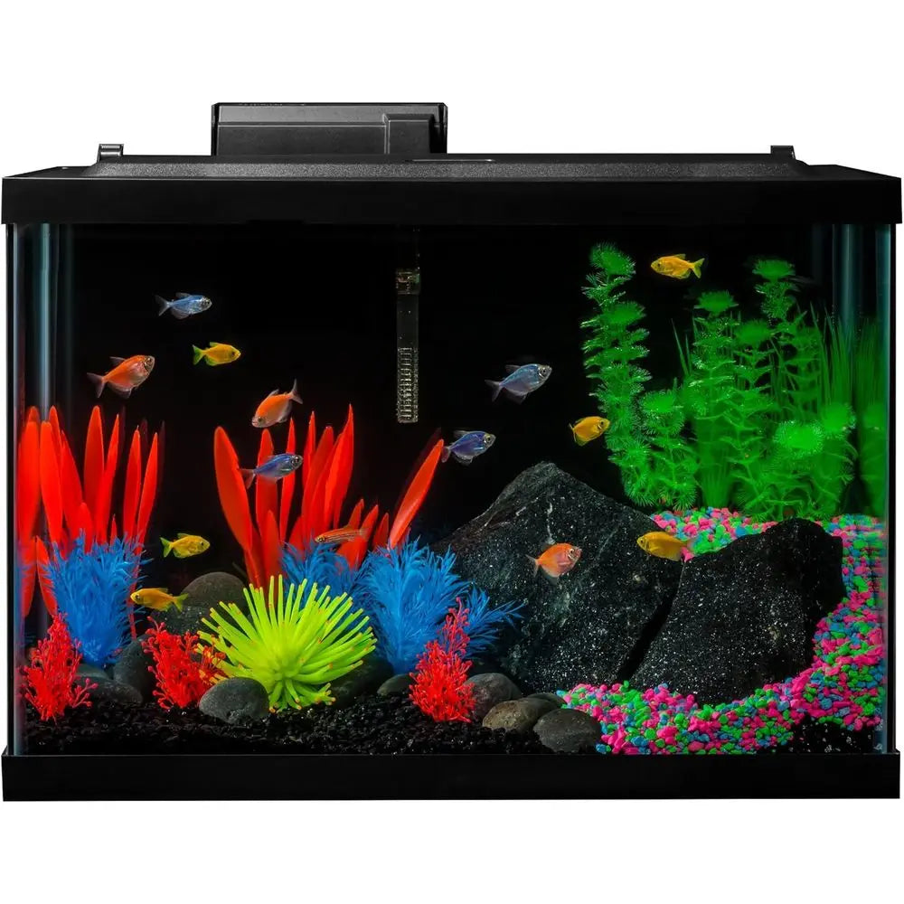 20 Gallon Aquarium Kit with LED Lights, Decor Heater and ilter