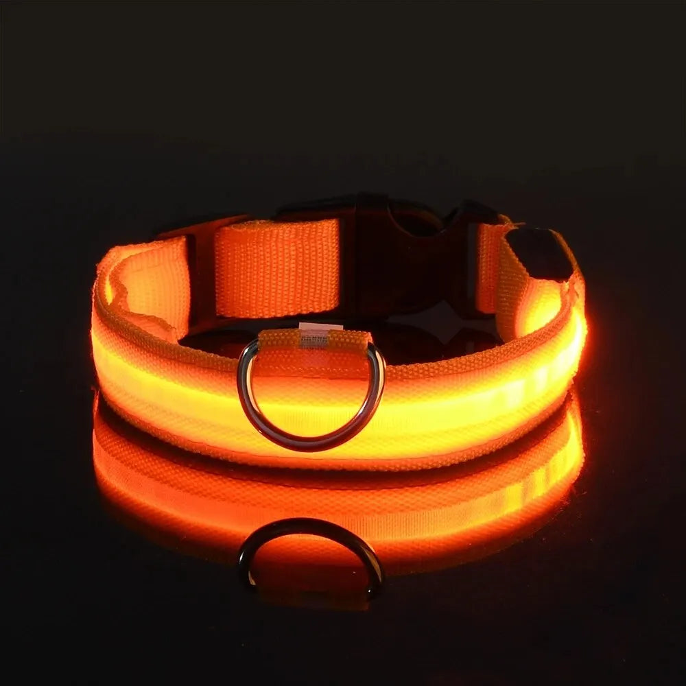 Nylon LED Night Safety Leash And Glow Collar For Pets
