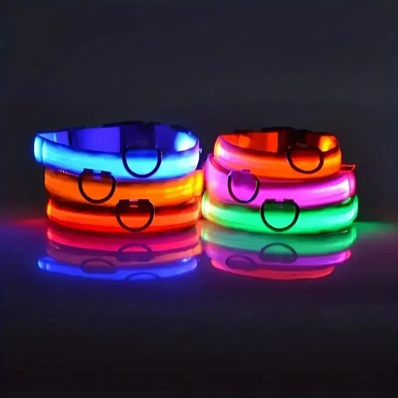 Nylon LED Night Safety Leash And Glow Collar For Pets