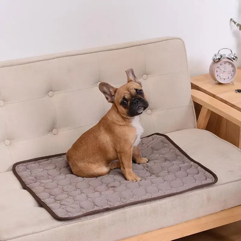 Breathable Pet Cooling Mat for Summer, Washable Ice Silk Dog Blanket, Self-Chilling Non-Toxic Pad for Sofa Car Bed, Fits Small M