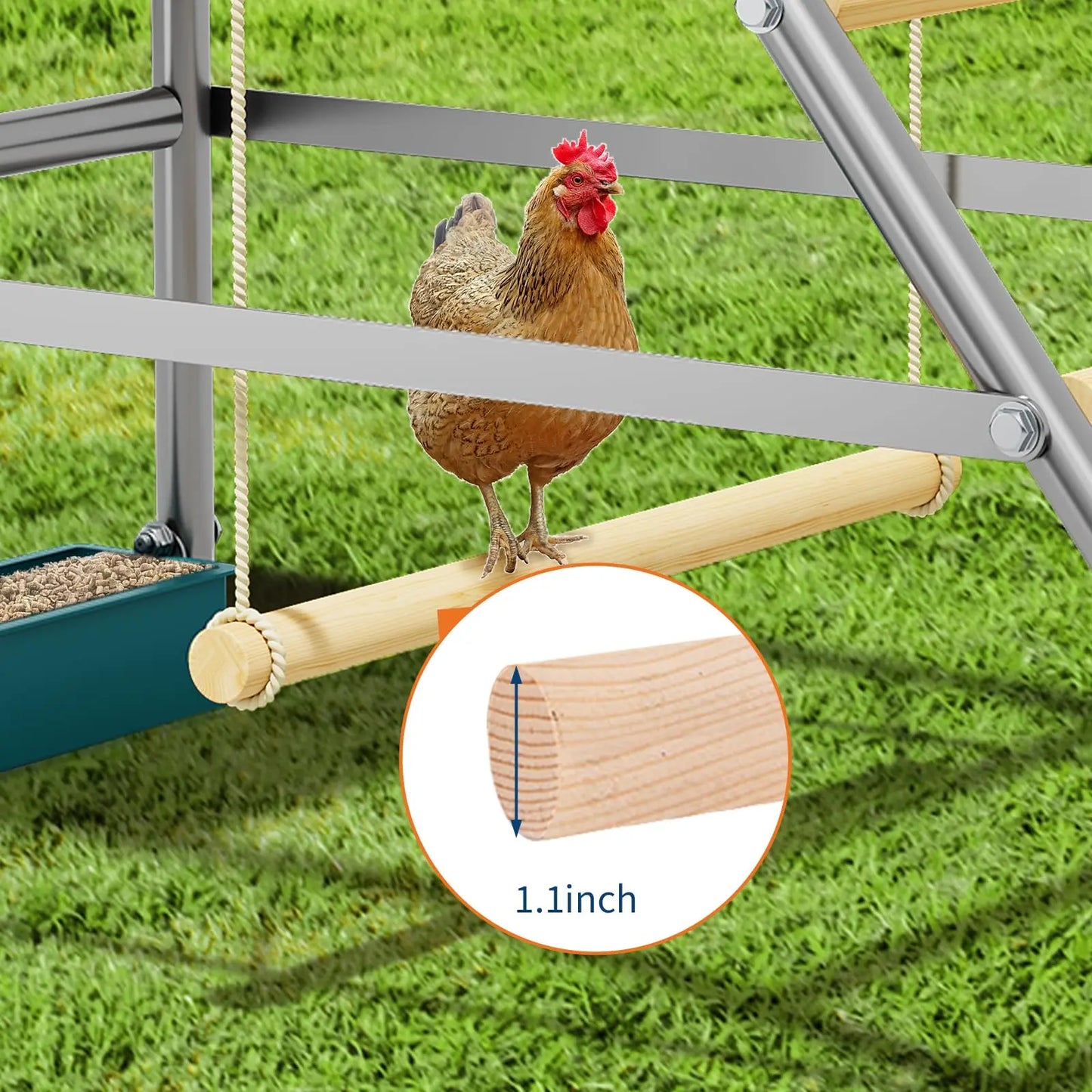 HiMISS Farm Animals Multi-Tier Chicken Roost Galvanized Steel Perch Ladder