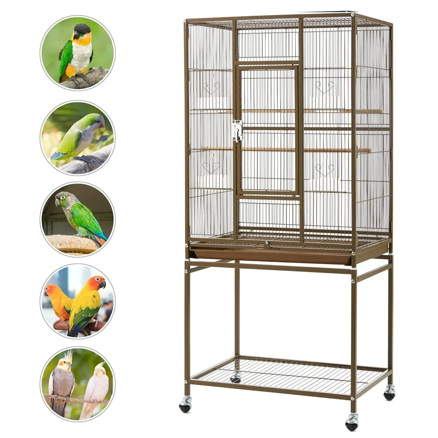 Wrought Iron Parrot Cage Stand For Small Birds And Parakeets