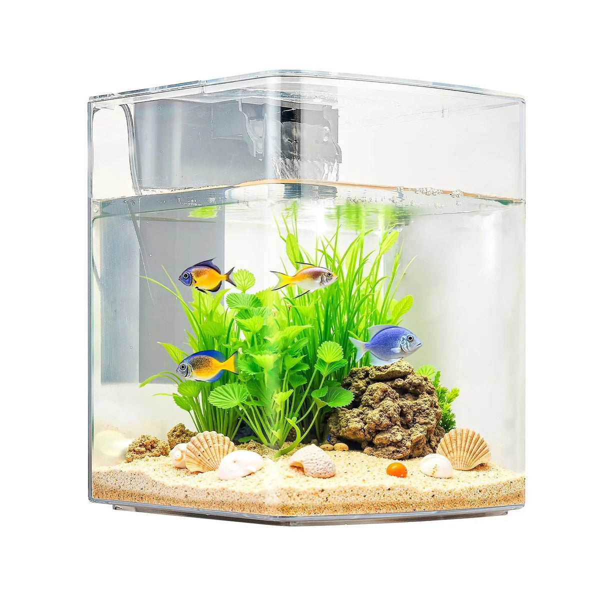 Ultra Clear Arch Fish Tank Aquarium With Reliable Circulation The Pet & Home Store