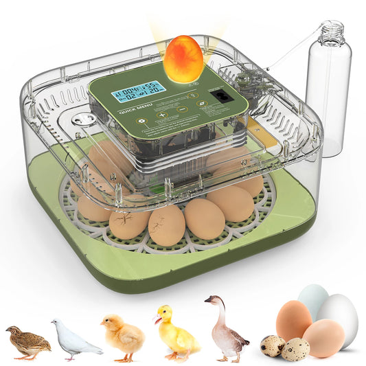 12-24 Egg Incubator With Auto Turn Temp Humidity Control
