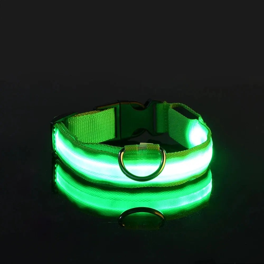Nylon LED Night Safety Leash And Glow Collar For Pets